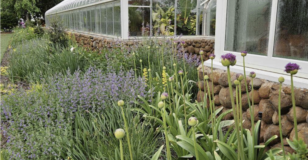 Horticulturist Garden Designer Jenks Farmer redesigned the historic perennial borders at Reynold House and Gardens, Wake Forest University, North Carolina